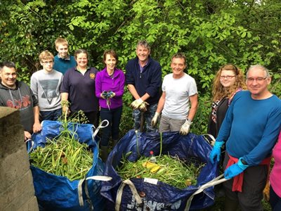 volunteers pulling invasive Honey garlic web